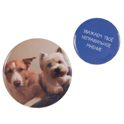 Набор значков "Уважаем твое неправильное мнение", коллекция "Забавные питомцы", 2 шт. - фото 5