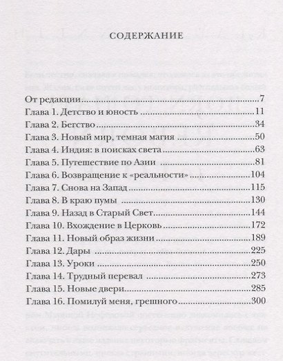 2 000 000 километров до любви. Одиссея грешника - фото 2
