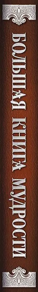 Большая книга мудрости (с вырубкой) - фото 5