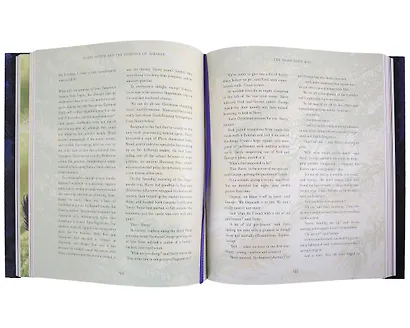 Комплект Harry Potter : The illustrated collection (3 книги в футляре) - фото 5