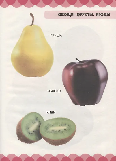 Мир природы. Овощи, фрукты, ягоды, цветы, деревья - фото 4