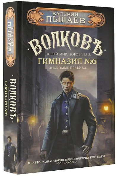 Волков. Гимназия №6 - фото 3