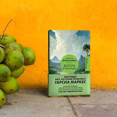 Дорога в Макондо - фото 5