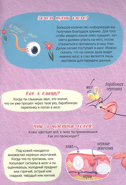 Атлас. Тело человека - фото 4