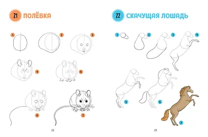 Большая книга животных. 300 рисунков шаг за шагом - фото 4