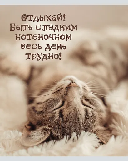 Тетрадь общая «Кото - терапия», 48 листов в линейку, А5, в ассортименте - Listoff - фото 2