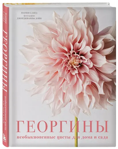 Георгины. Необыкновенные цветы для дома и сада - фото 3