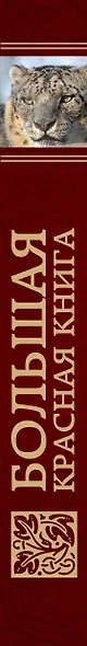 Большая красная книга - фото 5