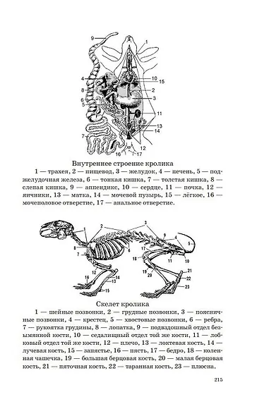 ОГЭ. Биология. Новый полный справочник для подготовки к ОГЭ - фото 11