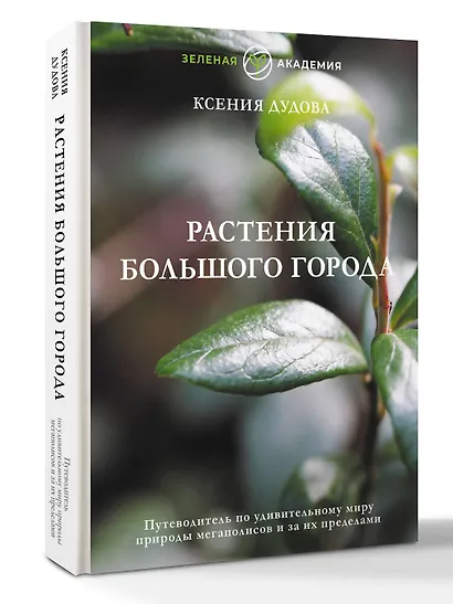 Джунгли большого города. Ботаника для неофитов - фото 3