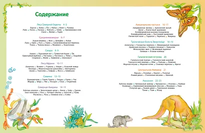 Атлас животных в картинках. Путешествие вокруг света - фото 6