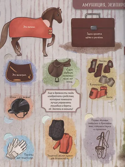 Энциклопедия с окошками (ЦК) Моя первая книга о лошадях - фото 4