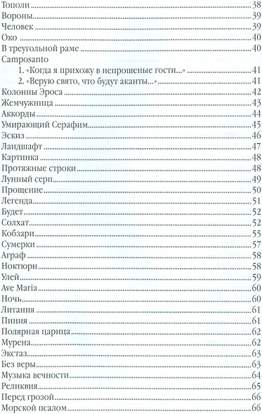 Столб словесного огня Стихотворения и поэмы 2кн. (компл. 2тт.) (упаковка) Гейнцельман - фото 3