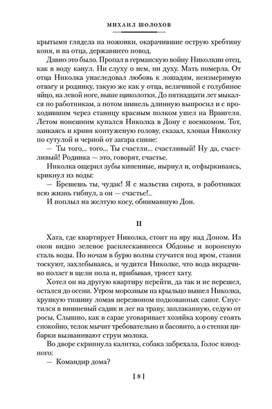 Донские рассказы. Судьба человека. Они сражались за Родину - фото 14