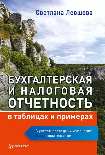 Бухгалтерская и налоговая отчетность в таблицах и примерах (с учетом последних изменений в законодательстве) - фото 1