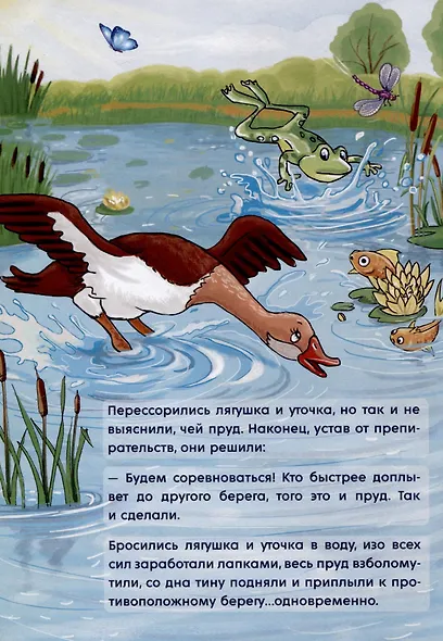 Пруд - фото 4