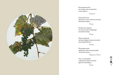 Мир в капле дождя. Осень. Зима. Хайку на все времена - фото 10