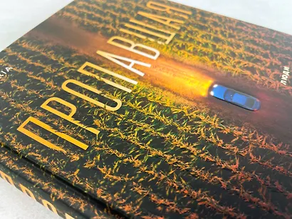 Пропавшая - фото 8