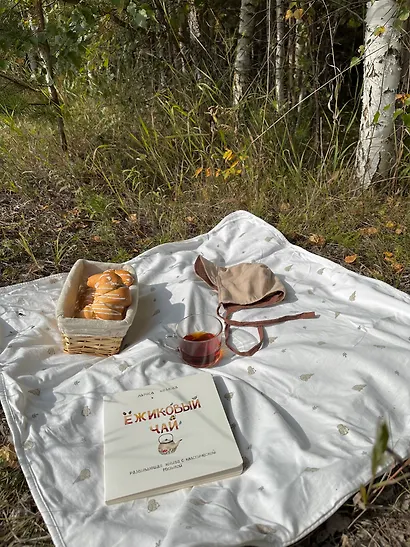 Ежиковый чай. Развивающая книга с классической музыкой - фото 11