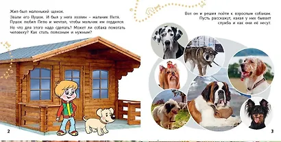 Комплект "Окошко в мир" (комплект из 5 книг) - фото 6