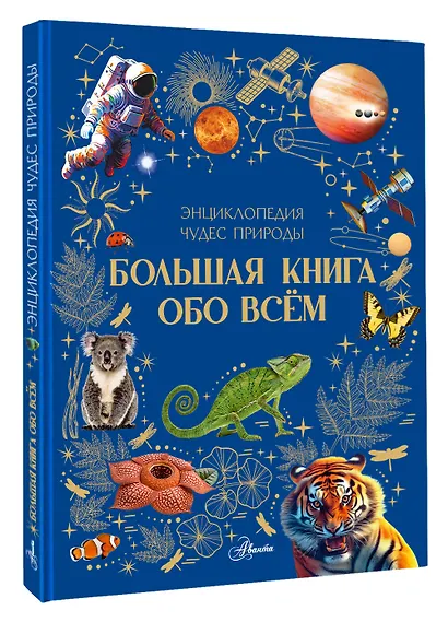 Большая книга обо всём - фото 3