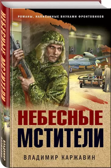 Небесные мстители - фото 1