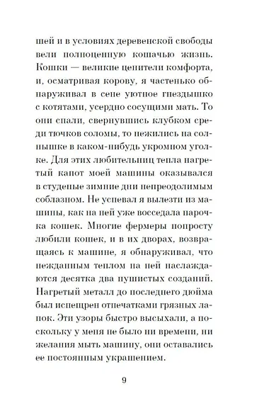 Кошачьи истории - фото 11