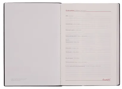 Ежедневник дат. 2026г. А5 176л "Тиволи" черный, кожзам, тв.переплет, тисн. фольгой, офсет, 3D-дизайн, справ.мат-лы, 2 ляссе, инд.уп - фото 4