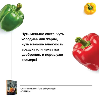 Перец. Выращиваем, ухаживаем и едим - фото 4