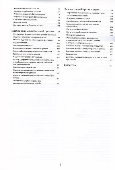 Анатомия движения: человеческое тело - фото 3