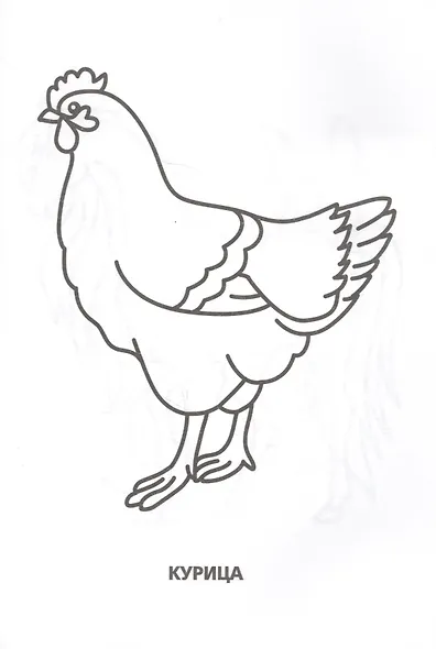 Домашние животные (супер-раскраска раскраска для маленьких, 32 картинки) - фото 2