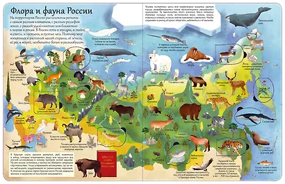 Открой тайны России. 80 секретных створок - фото 5