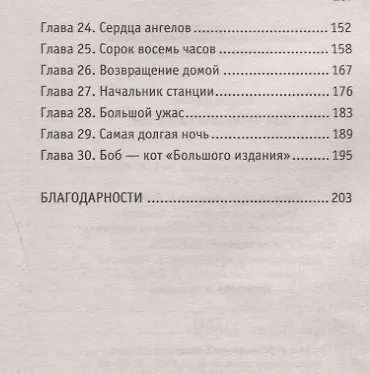 Боб - необычный кот - фото 3