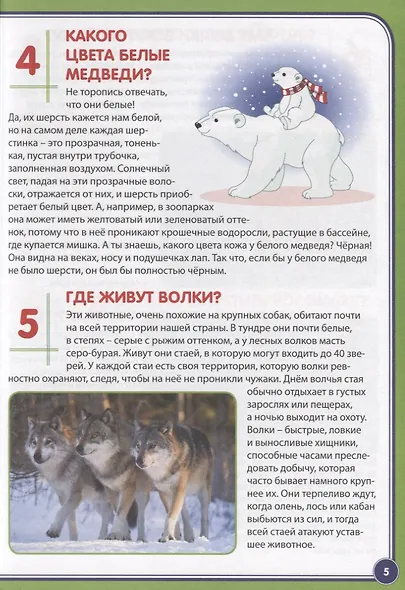 123 вопроса – 123 ответа. Животные России - фото 2
