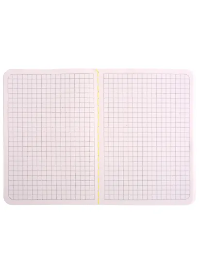 Записная книжка А6 32л кл. СПб "Санкт-Петербург", тонир. внутр. блок, сшивка - фото 2