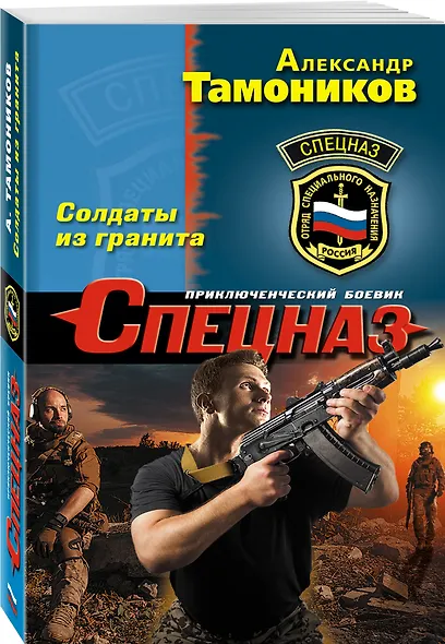 Солдаты из гранита - фото 3