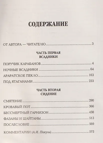 Баязет - фото 3