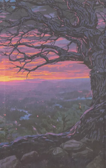 Сияние вечного пламени - фото 10