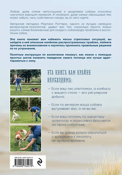 Идеальная собака не выгуливает хозяина. Как воспитать собаку без вредных привычек - фото 2