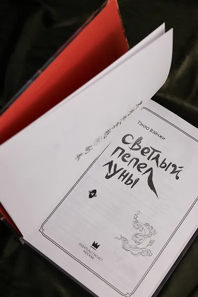 Светлый пепел луны. Книга 4. Новелла - фото 12