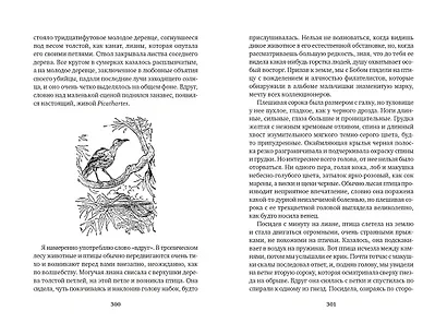 Гончие Бафута. Зоопарк в моем багаже - фото 12