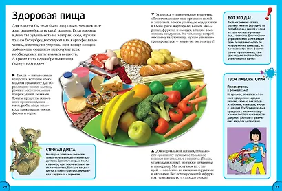 Всё о теле человека - фото 3