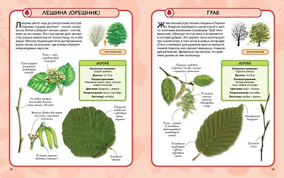 Деревья - фото 3