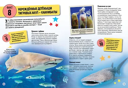 Всё об окружающем мире с научной точки зрения - фото 4