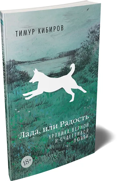 Лада, или Радость. Хроника верной и счастливой любви - фото 3