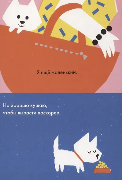 Монти - фото 4