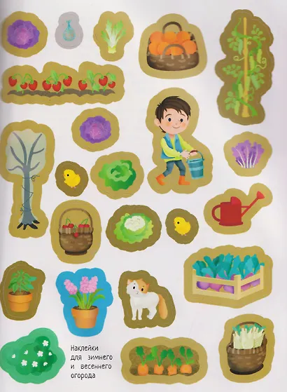 Твой домашний огород: книга идей и развлечений с наклейками - фото 4