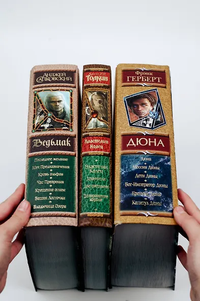 Последнее желание. Меч Предназначения. Кровь эльфов. Час Презрения. Крещение огнем. Башня Ласточки. Владычица Озера - фото 10