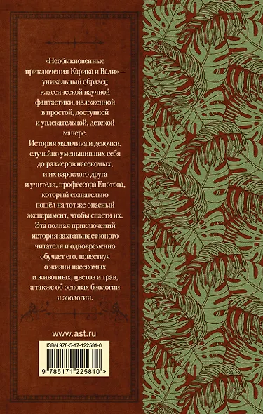Необыкновенные приключения Карика и Вали - фото 2