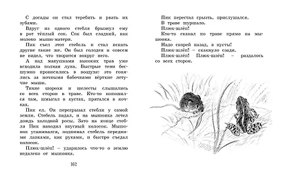 Лесные сказки и рассказы (иллюстр. Е. Рачёва) - фото 4